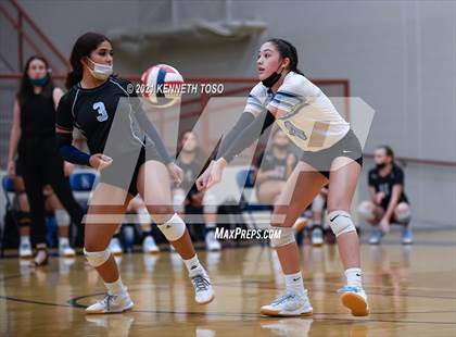 Thumbnail 1 in Harlan vs O'Connor photogallery.