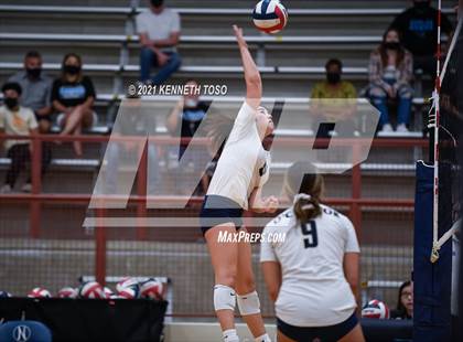 Thumbnail 1 in Harlan vs O'Connor photogallery.