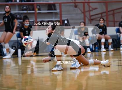 Thumbnail 1 in Harlan vs O'Connor photogallery.