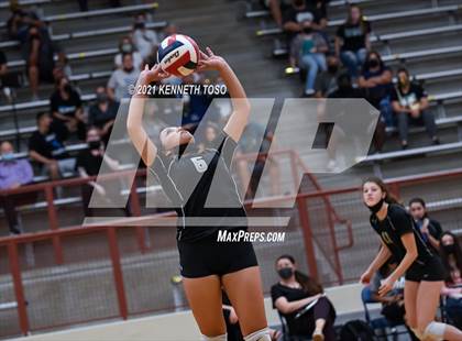 Thumbnail 3 in Harlan vs O'Connor photogallery.