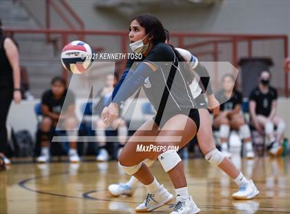 Thumbnail 2 in Harlan vs O'Connor photogallery.