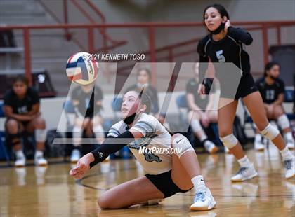 Thumbnail 3 in Harlan vs O'Connor photogallery.