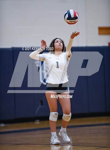 Thumbnail 1 in Harlan vs O'Connor photogallery.