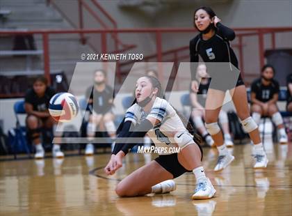 Thumbnail 2 in Harlan vs O'Connor photogallery.