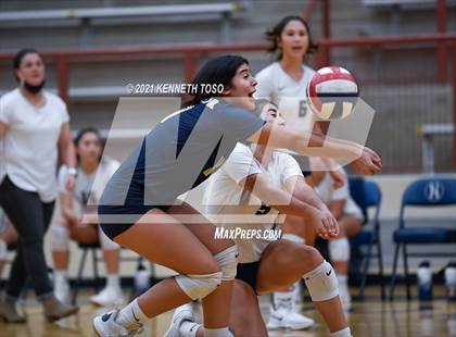 Thumbnail 3 in Harlan vs O'Connor photogallery.