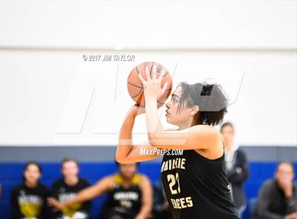 Thumbnail 1 in Abilene vs Trinity (Southwest Autogroup Lady Roo Christmas Classic) photogallery.