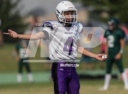 Thumbnail 2 in Shasta @ Red Bluff photogallery.