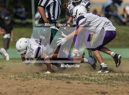 Thumbnail 3 in Shasta @ Red Bluff photogallery.