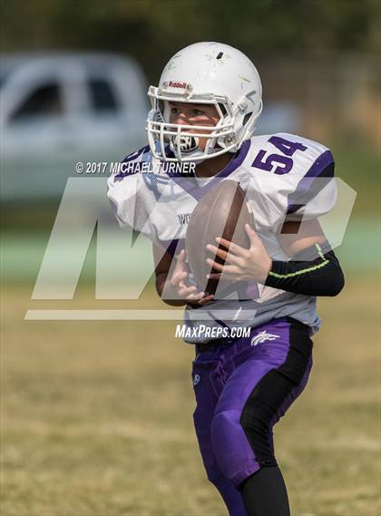 Thumbnail 2 in Shasta @ Red Bluff photogallery.
