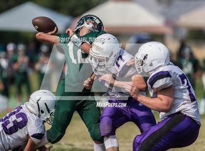 Thumbnail 1 in Shasta @ Red Bluff photogallery.