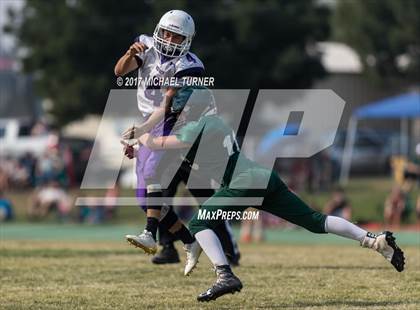 Thumbnail 2 in Shasta @ Red Bluff photogallery.
