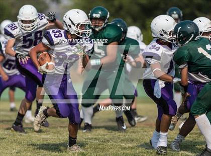 Thumbnail 3 in Shasta @ Red Bluff photogallery.