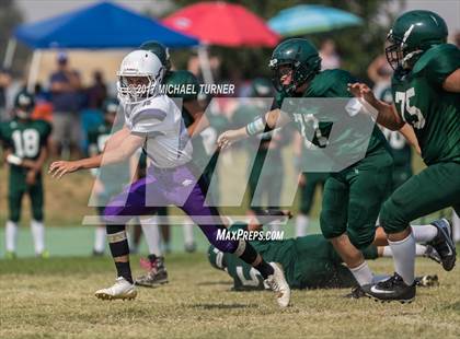 Thumbnail 3 in Shasta @ Red Bluff photogallery.