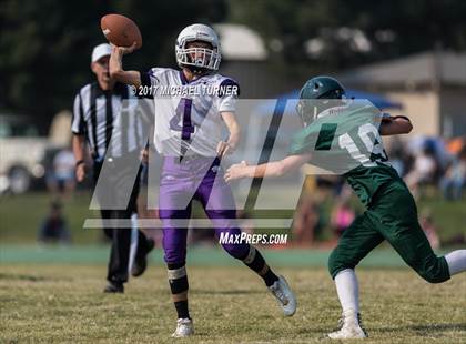 Thumbnail 1 in Shasta @ Red Bluff photogallery.
