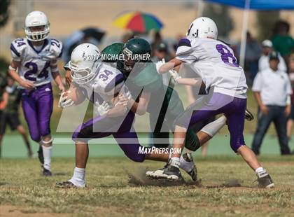 Thumbnail 2 in Shasta @ Red Bluff photogallery.