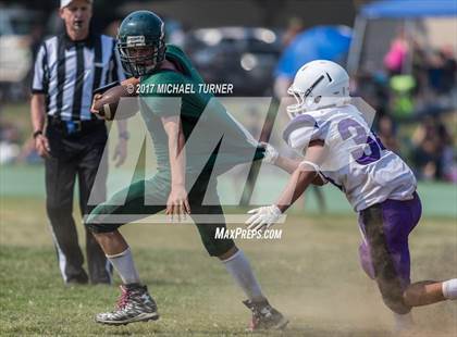 Thumbnail 2 in Shasta @ Red Bluff photogallery.