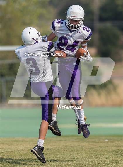 Thumbnail 1 in Shasta @ Red Bluff photogallery.
