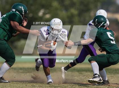 Thumbnail 2 in Shasta @ Red Bluff photogallery.