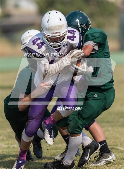 Thumbnail 3 in Shasta @ Red Bluff photogallery.