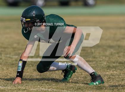 Thumbnail 1 in Shasta @ Red Bluff photogallery.