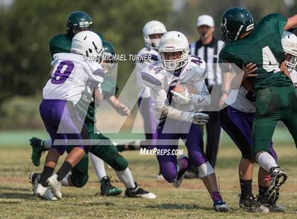 Thumbnail 3 in Shasta @ Red Bluff photogallery.