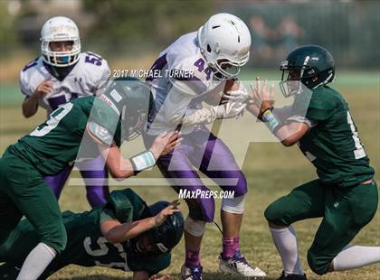 Thumbnail 3 in Shasta @ Red Bluff photogallery.