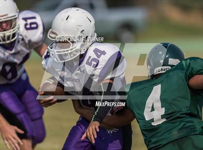 Thumbnail 1 in Shasta @ Red Bluff photogallery.