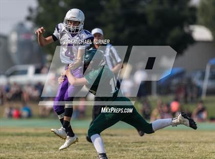 Thumbnail 3 in Shasta @ Red Bluff photogallery.