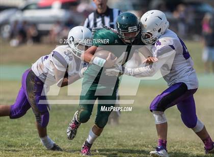 Thumbnail 3 in Shasta @ Red Bluff photogallery.