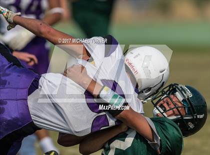 Thumbnail 3 in Shasta @ Red Bluff photogallery.