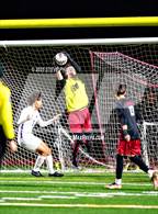 Photo from the gallery "Franklin @ Laguna Creek"