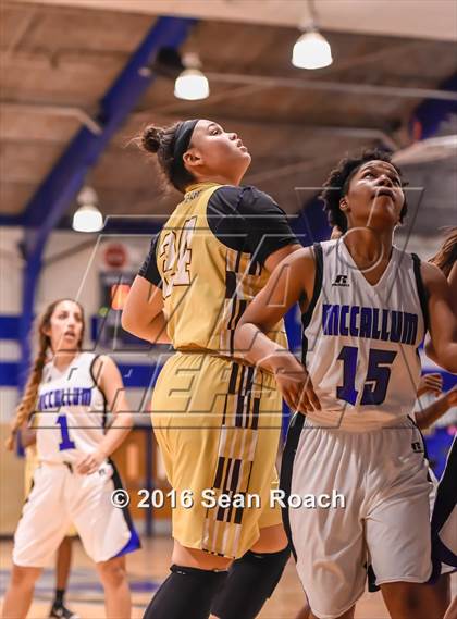 Thumbnail 2 in Crockett @ McCallum photogallery.