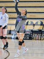 Photo from the gallery "Piedmont @ Bishop O'Dowd"
