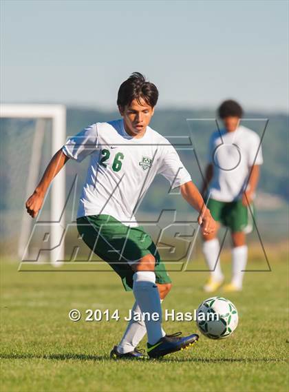 Thumbnail 1 in Pine Plains @ Webutuck photogallery.