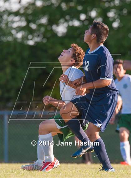 Thumbnail 1 in Pine Plains @ Webutuck photogallery.