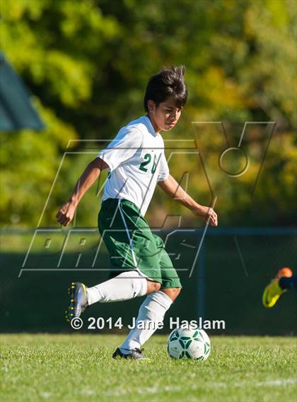 Thumbnail 1 in Pine Plains @ Webutuck photogallery.