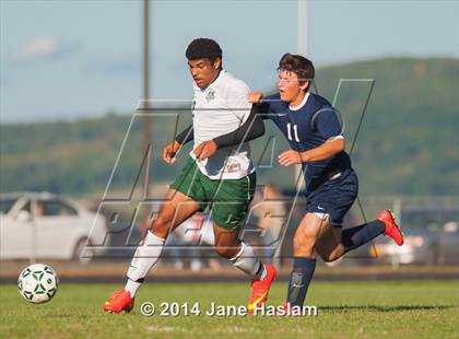 Thumbnail 3 in Pine Plains @ Webutuck photogallery.