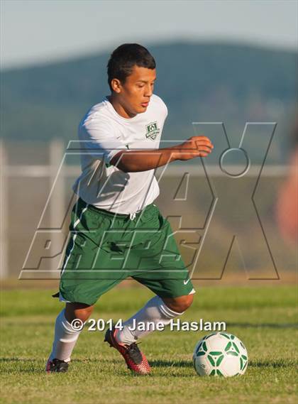 Thumbnail 1 in Pine Plains @ Webutuck photogallery.