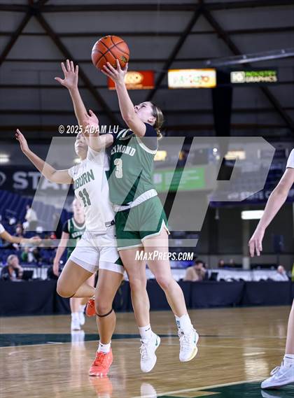 Thumbnail 1 in Redmond @ Auburn (WIAA 4A State Round 2) photogallery.