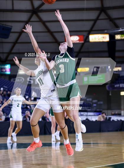 Thumbnail 3 in Redmond @ Auburn (WIAA 4A State Round 2) photogallery.