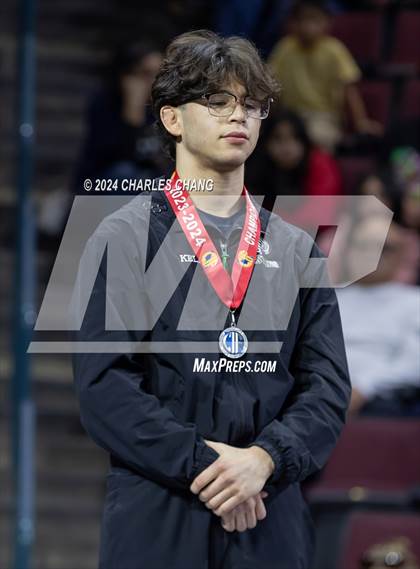 Thumbnail 2 in CIF Boys State Wrestling Championships (Awards) photogallery.