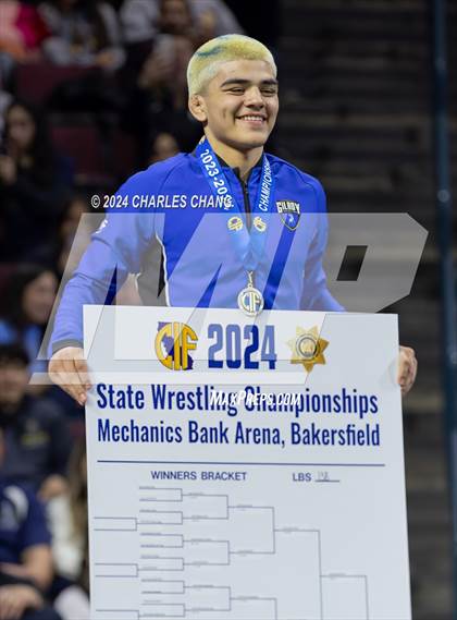 Thumbnail 1 in CIF Boys State Wrestling Championships (Awards) photogallery.