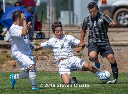 Thumbnail 3 in Chaparral @ Silver photogallery.