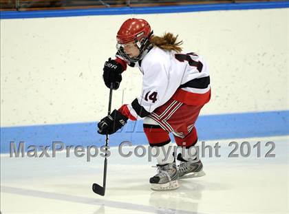 Thumbnail 1 in New Canaan vs. Hall/Conard (CHSGHA Final) photogallery.
