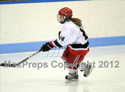 Thumbnail 3 in New Canaan vs. Hall/Conard (CHSGHA Final) photogallery.
