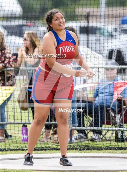 Thumbnail 1 in AIA Track & Field Preliminaries (Girls Discus D1/D2) photogallery.