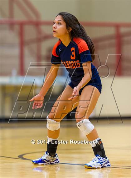 Thumbnail 2 in Brandeis vs O'Connor photogallery.