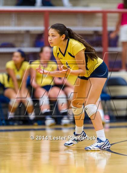 Thumbnail 2 in Brandeis vs O'Connor photogallery.