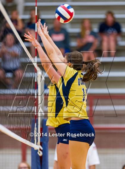 Thumbnail 2 in Brandeis vs O'Connor photogallery.