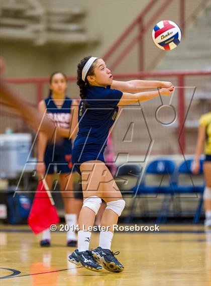 Thumbnail 1 in Brandeis vs O'Connor photogallery.